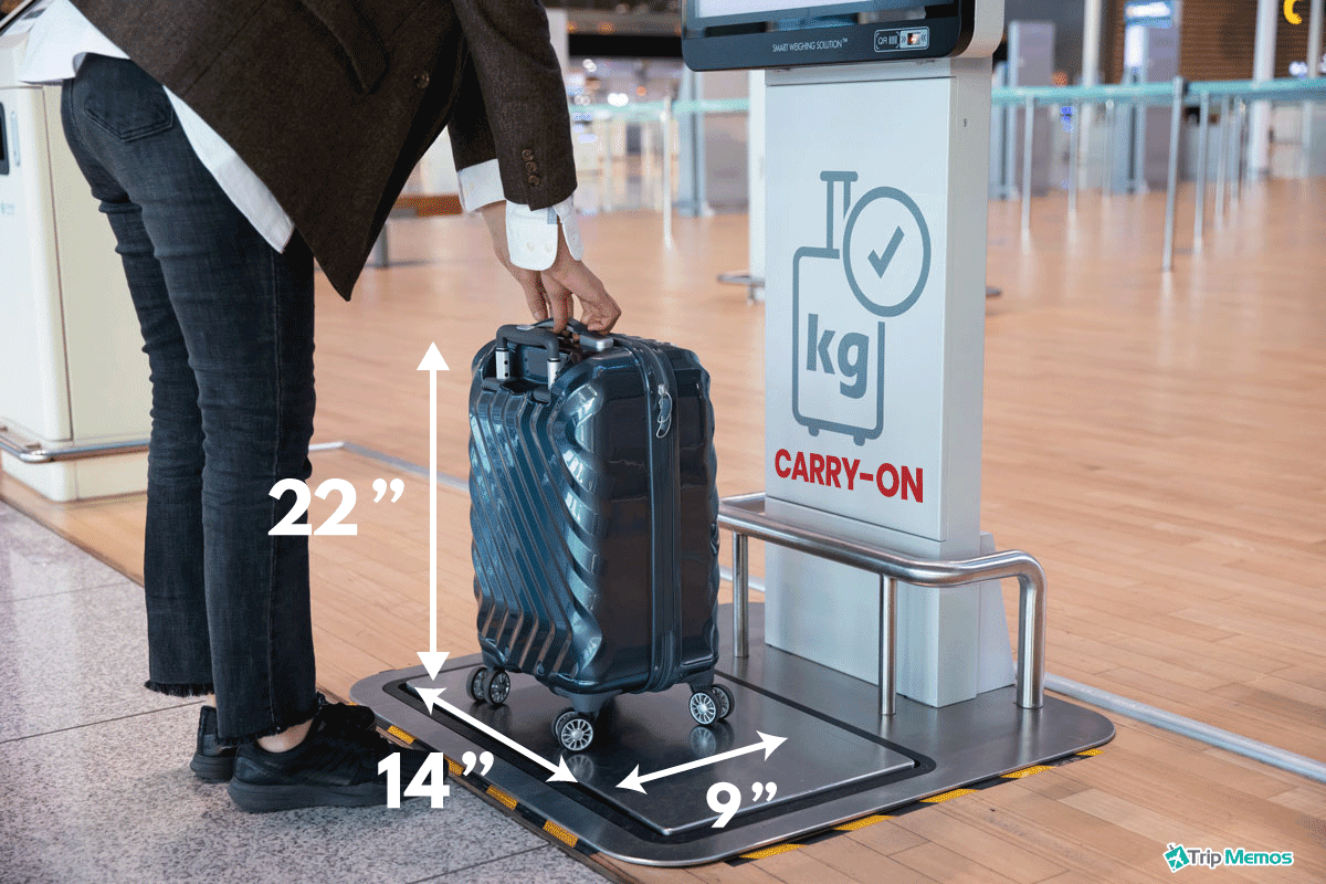 Weighing luggage using a luggage measuring device at the airport, United Airlines: Basic Economy Vs Standard Economy Vs Economy Plus