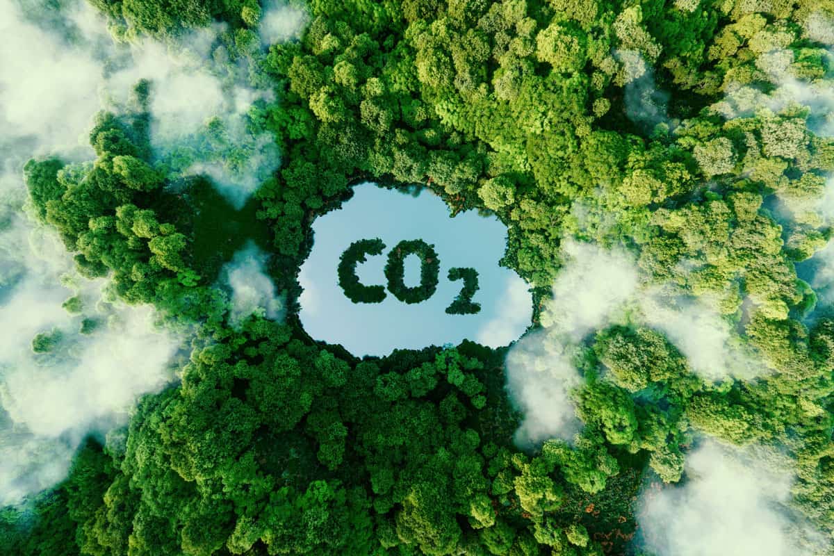 Carbon dioxide concept design