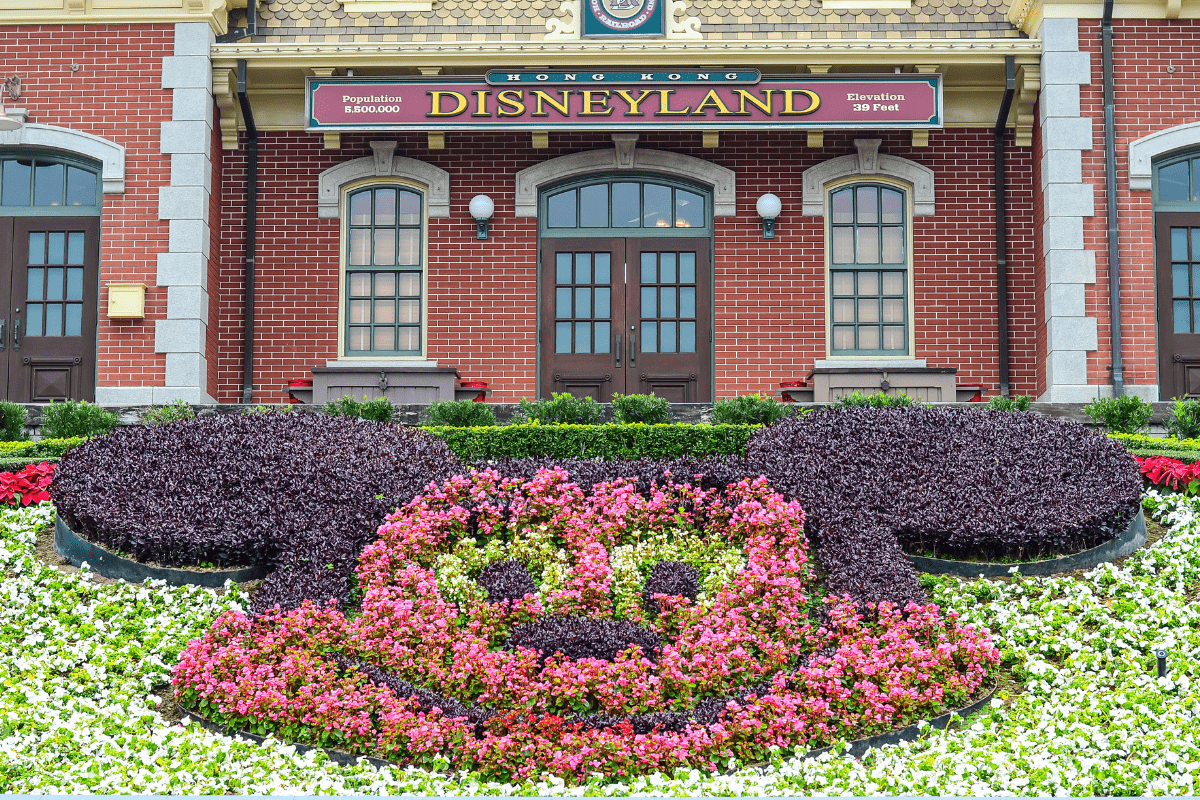 Hong Kong Disneyland Built in 2012,Is the world's five Disneyland and front castle with this is tree as Mickey Mouse. - Disney Magic Never Grows Old: The Phenomenon Of Disney Adults