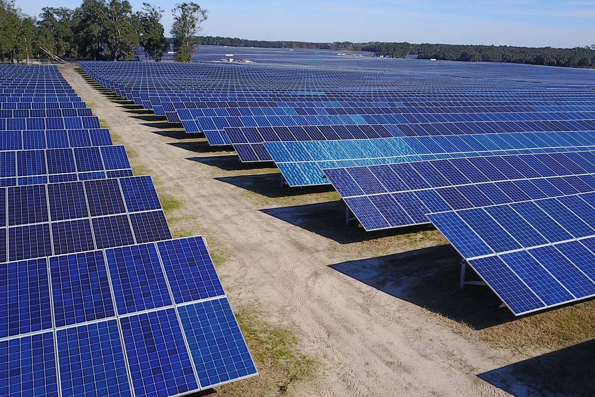 Read more about the article Florida’s Green Energy Keeps Paradise Flourishing