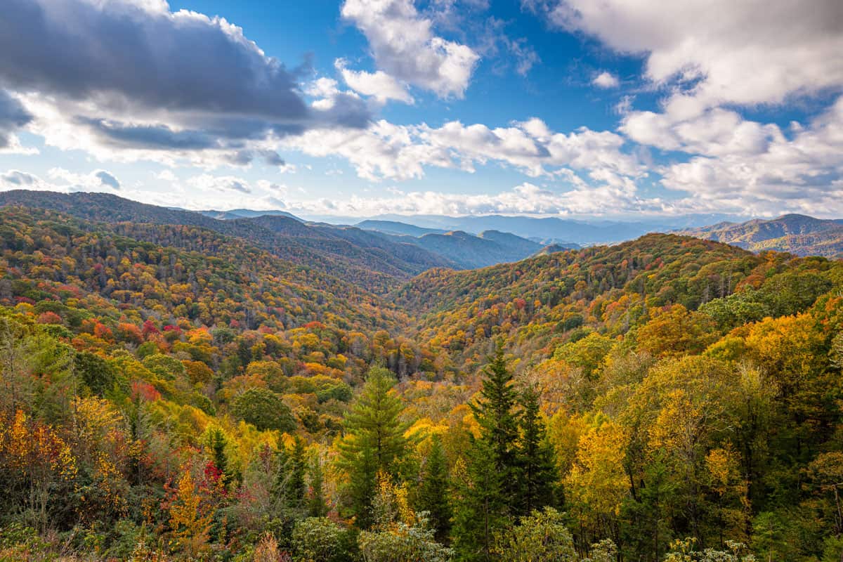 The gorgeous and vibrant view of the trees in Smoky Mountains National Park, Gatlinburg, Tennessee: Should You Visit Or Avoid This Rocky Mountain Tourist Hotspot?
