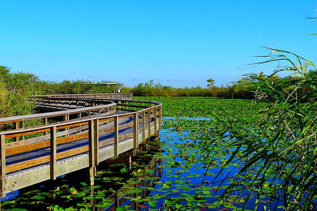 Everglades national park