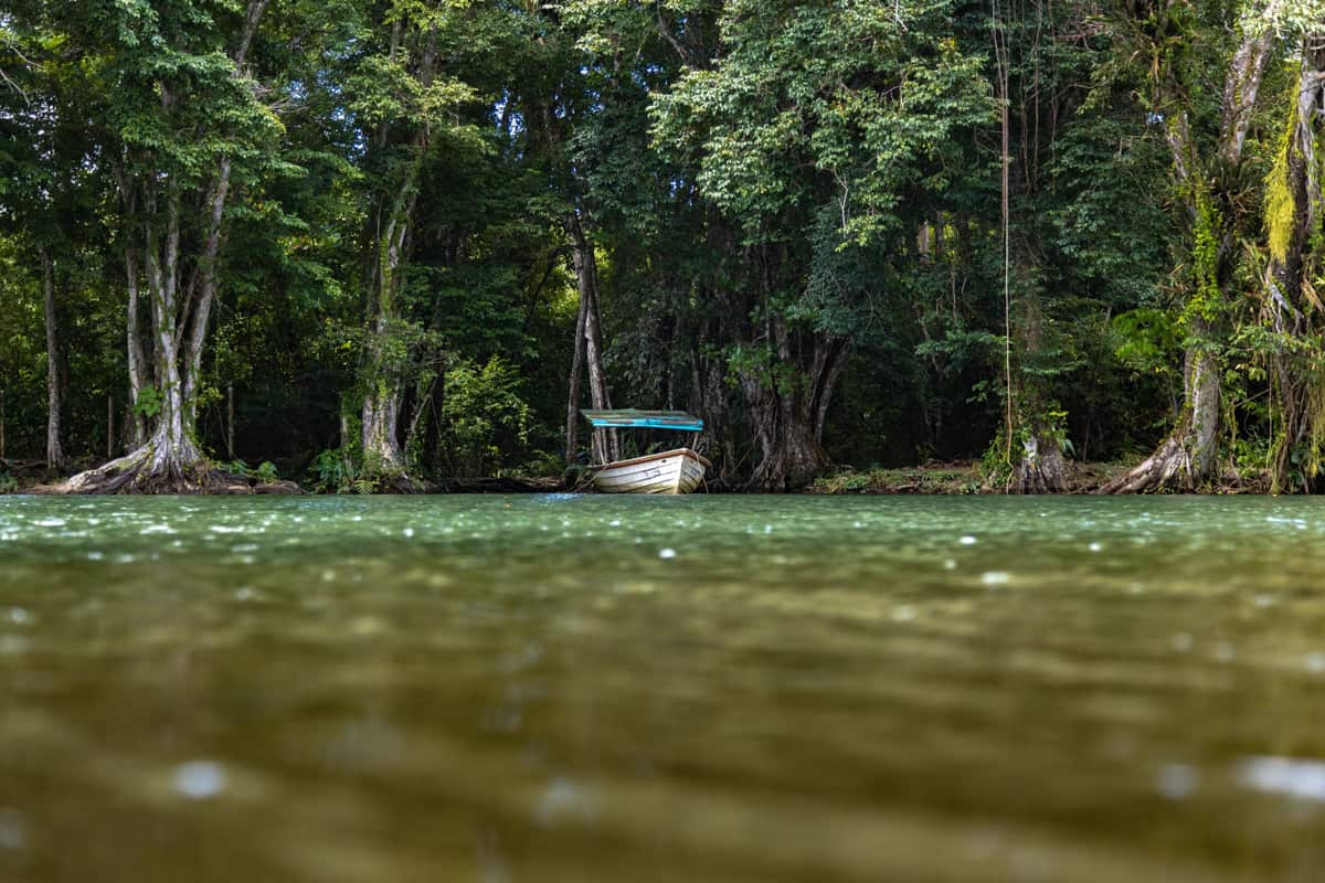 A breathtaking view of an abandoned fishing boat near the shore surrounded by lush green trees