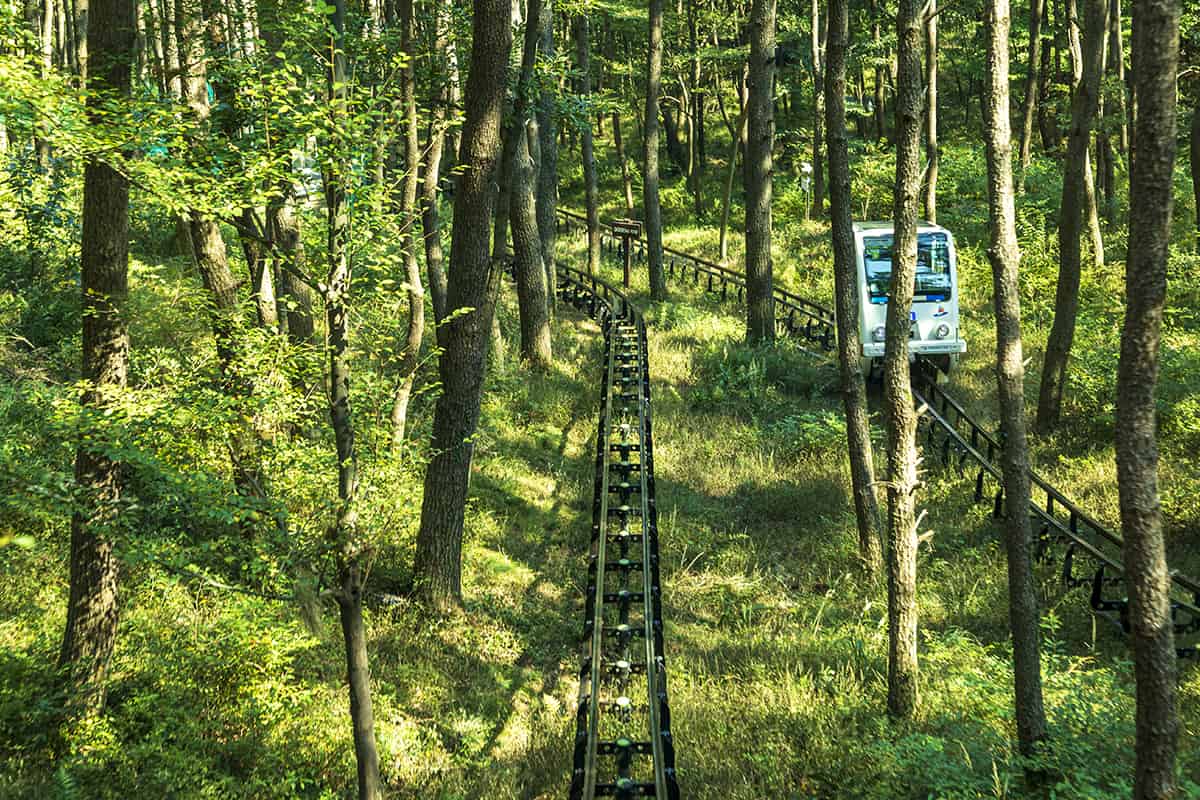 A monorail inside forest of Gyeryongsan Mt