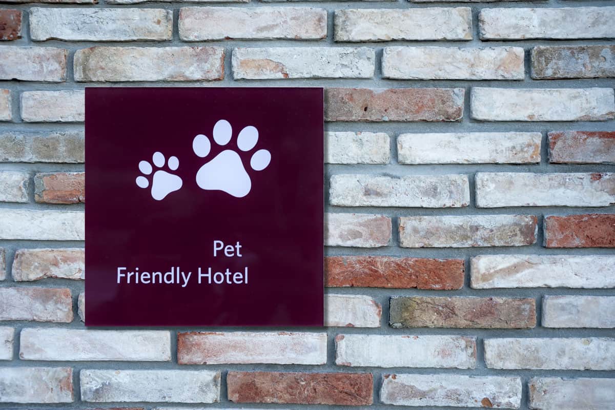 A pet friendly sign hanged outside a hotel wall