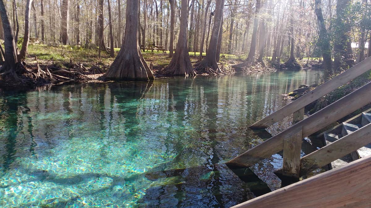 Beautiful view of the turquoise crystal clear waters of the lagoon of Ginnie Springs