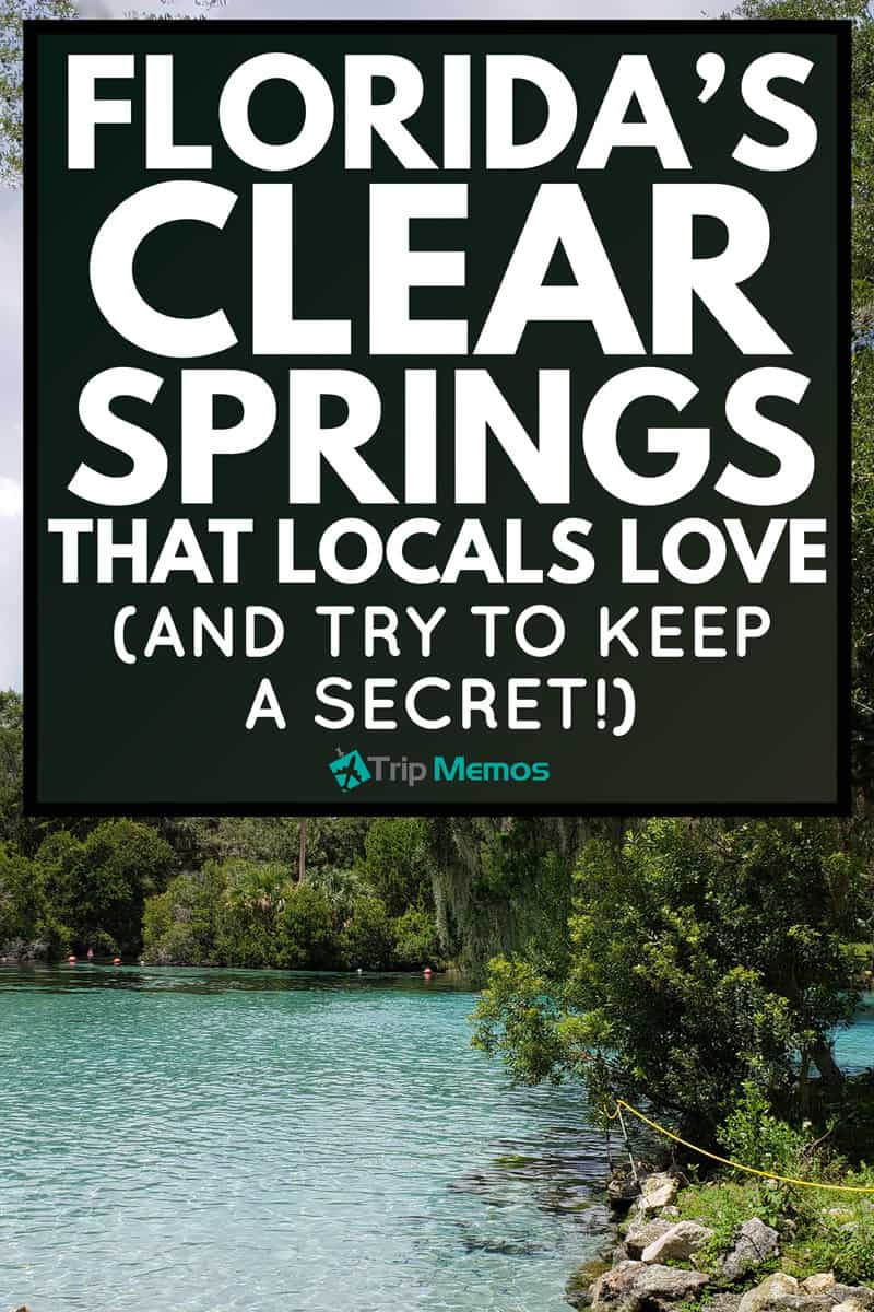 Floridas Clear Springs That Locals Love And Try To Keep A Secret 