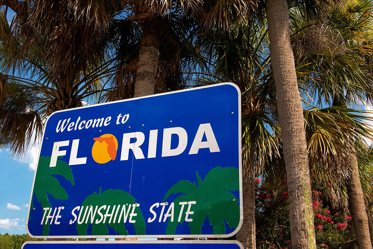 Palm tree with welcome to Florida sign, 5 Reasons to Add Florida to Your Bucket List