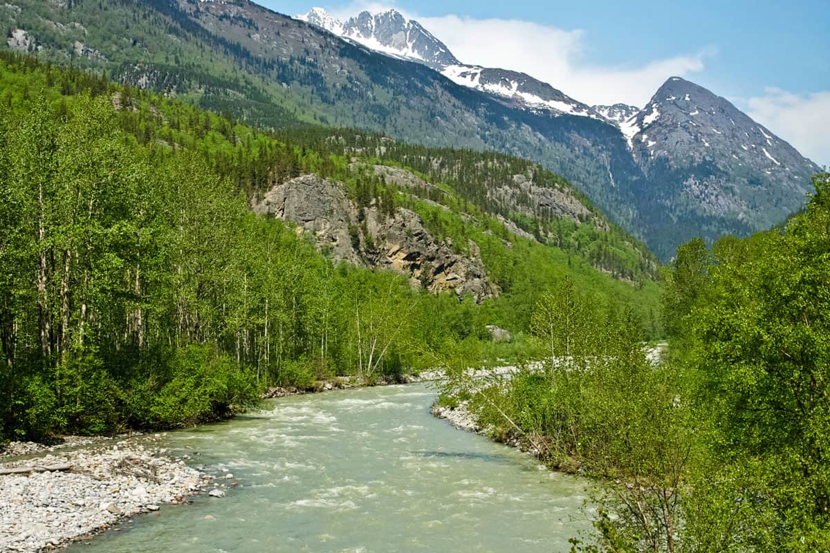 The Skagway River 
