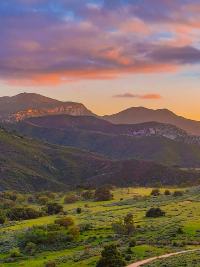 Beautiful-and-grassy-field-with-stunning-sunset-at-Palomer-mountains,-California