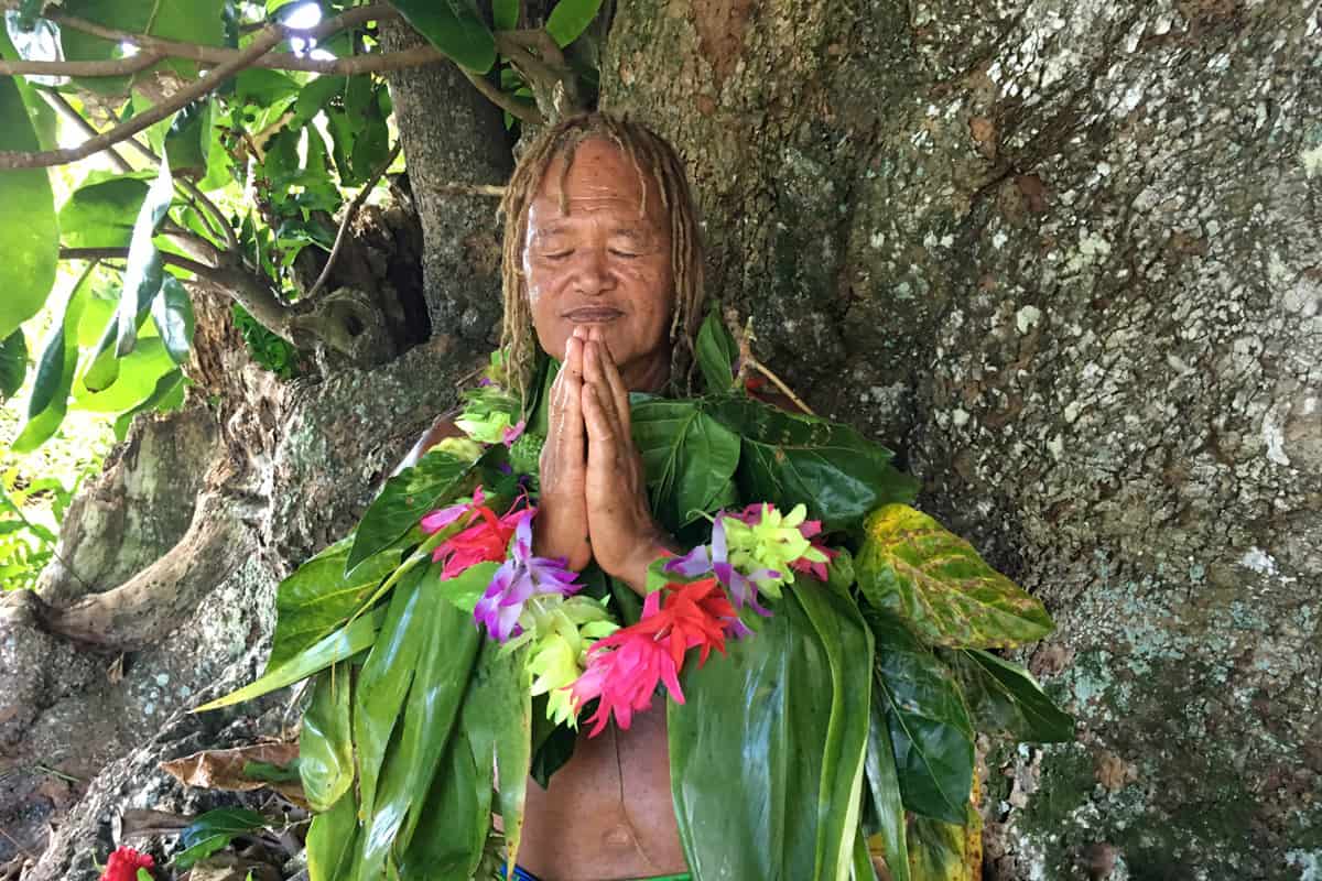 Active senior Pacific Islander man with dreadlocks hair praying with closed eye under large rainforest tree connecting with the environment nature of Rarotonga