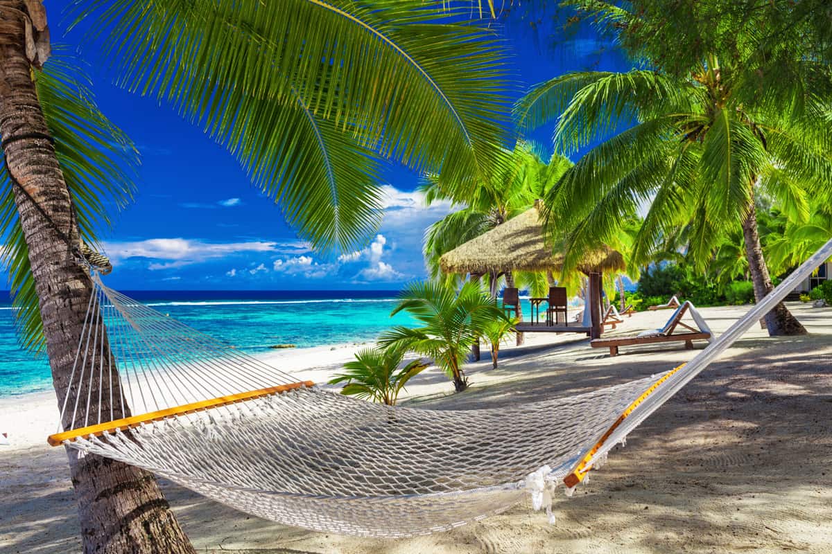 Hammock between palm trees on a vibrant tropical beach of Rarotonga