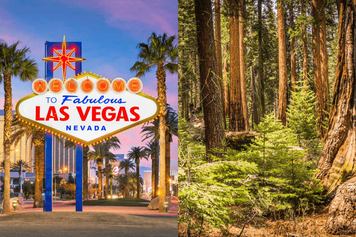 Collaged photo of Las Vegas and Sequoia National Park, Las Vegas To Sequoia National Park Road Trip Itinerary, Las Vegas To Sequoia National Park Road Trip Itinerary