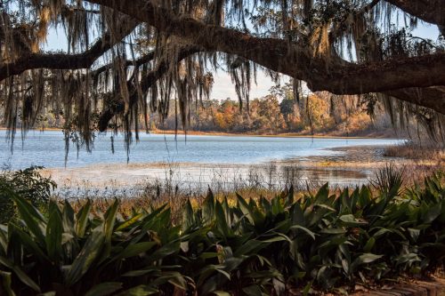 a lake in The Alfred B. Maclay State Gardens is a 1,176-acre Florida State Park, botanical garden and historic site, 10 Most Scenic Hiking Areas In The Florida Panhandle
