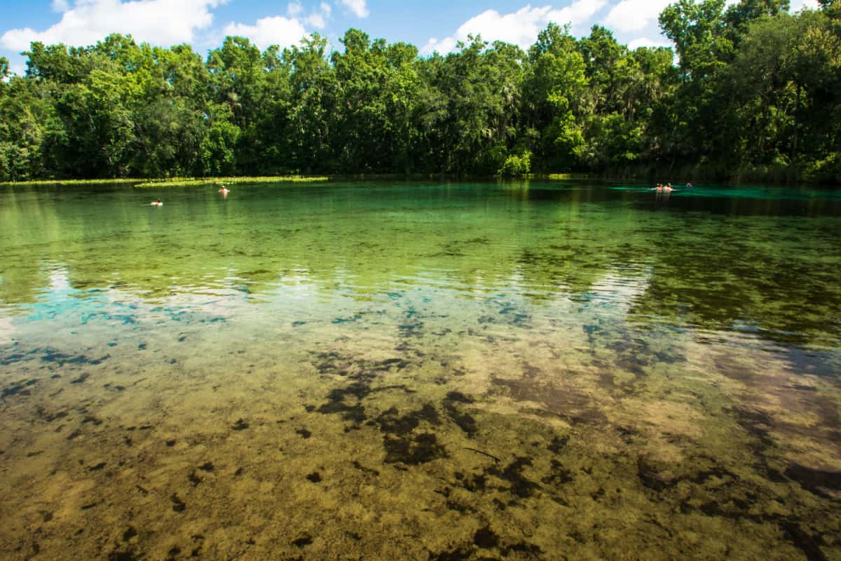Clear waters at Alexanders Springs in Florida