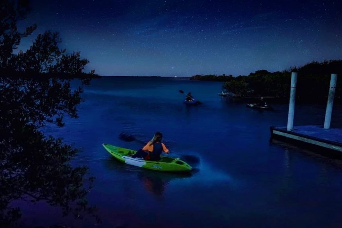 Bioluminescent tour on the Indian River Lagoon by BK Adventure
