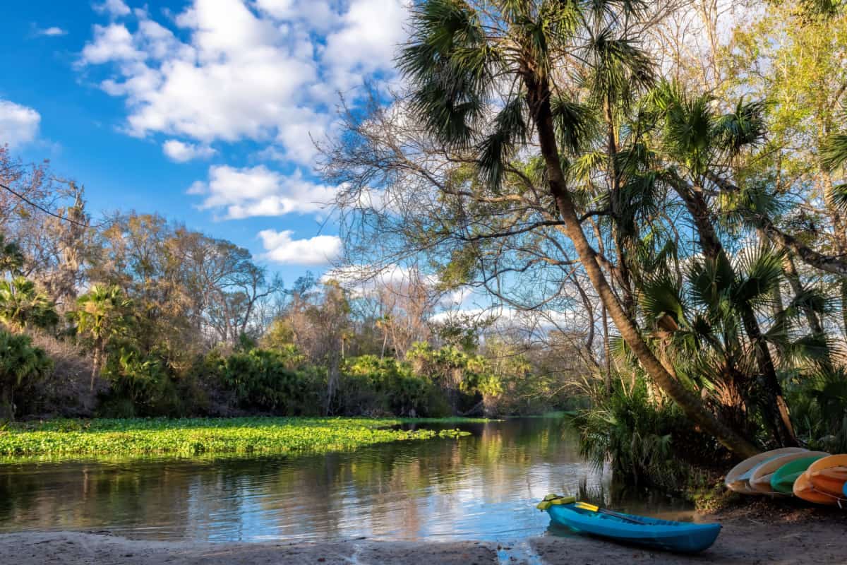 Canoes in lake surrounded by tropical trees at sunset in Wekiwa Springs State Park, Florida