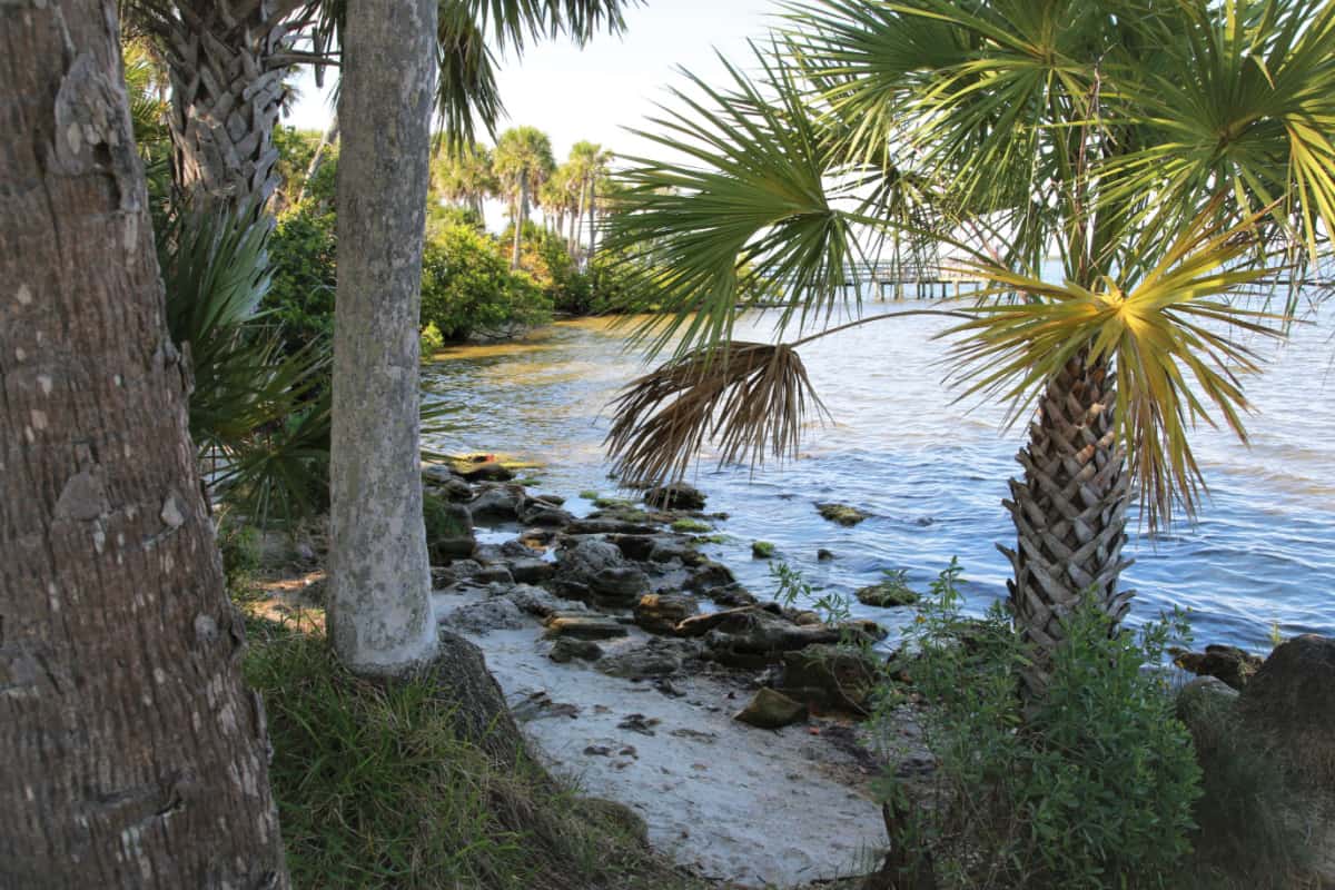 Rocky shoreline at Castaways Point Park Palm Bay
