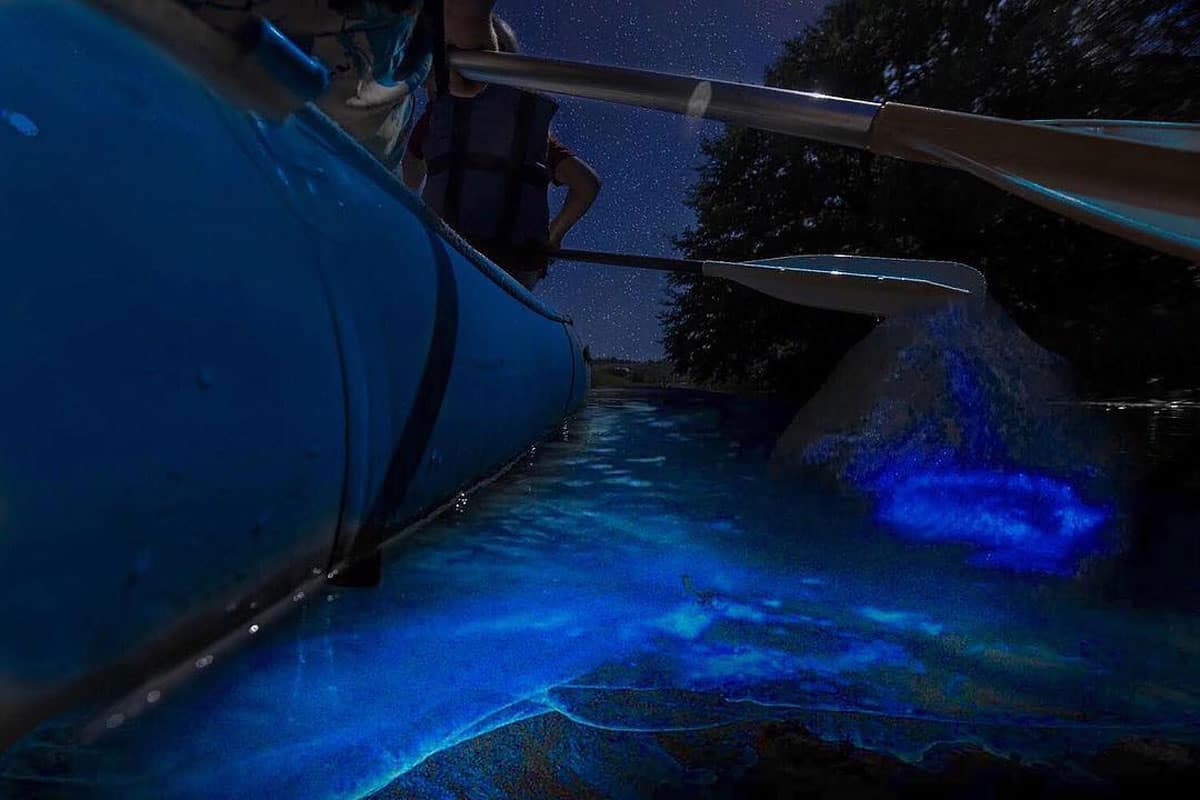 Kayaking on the Indian Lagoon River in Florida to experience Bioluminescence