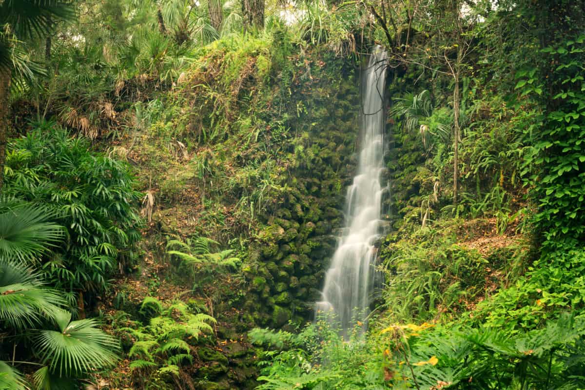 Waterfalls at the Rainbow Springs State Park