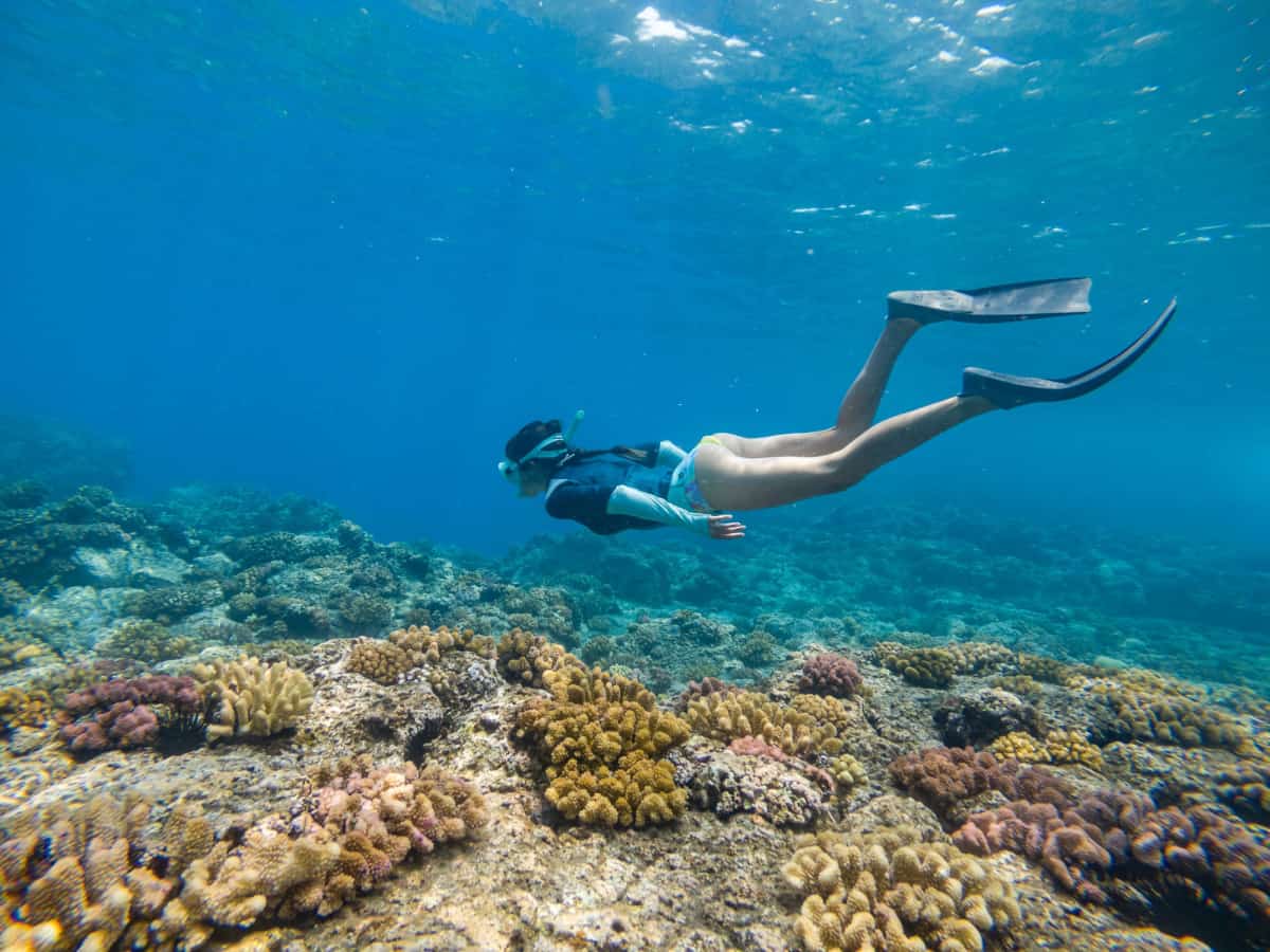 a woman snorkeling above a coral reef