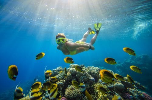 girl dives in a tropical sea with corals and fish