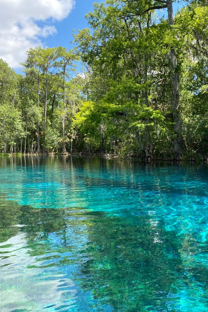 Crystal clear waters of Silver Springs state park