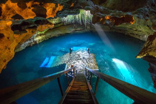 Stairs leading down a small concrete platforn in the Devils Den Spring, Florida, Visiting The Devil's Den Spring: A Must-See Natural Wonder