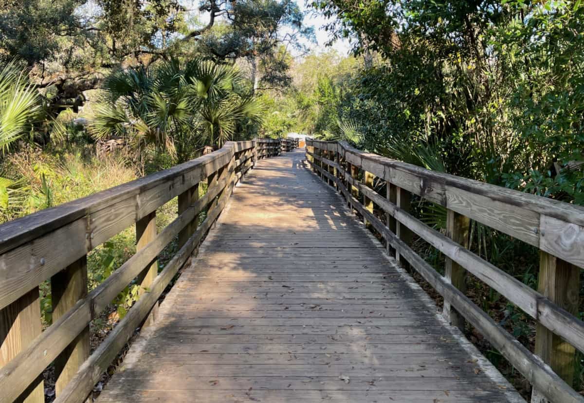 The hiking trails at a State Park in Orlando, Florida.