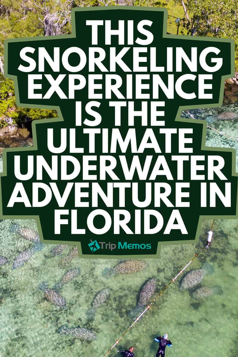 THIS SNORKELING EXPERIENCE IS THE ULTIMATE UNDERWATER ADVENTURE IN FLORIDA