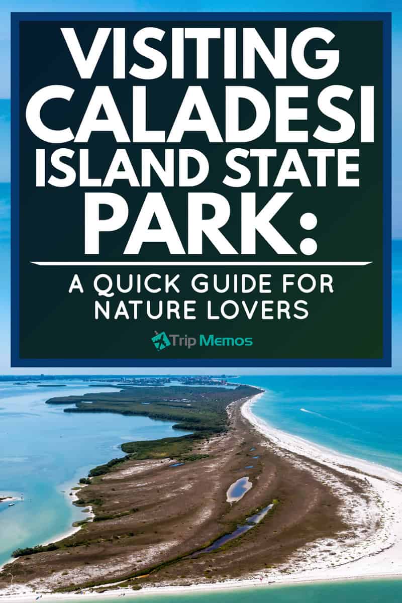 Visiting Caladesi Island State Park: A Quick Guide For Nature Lovers
