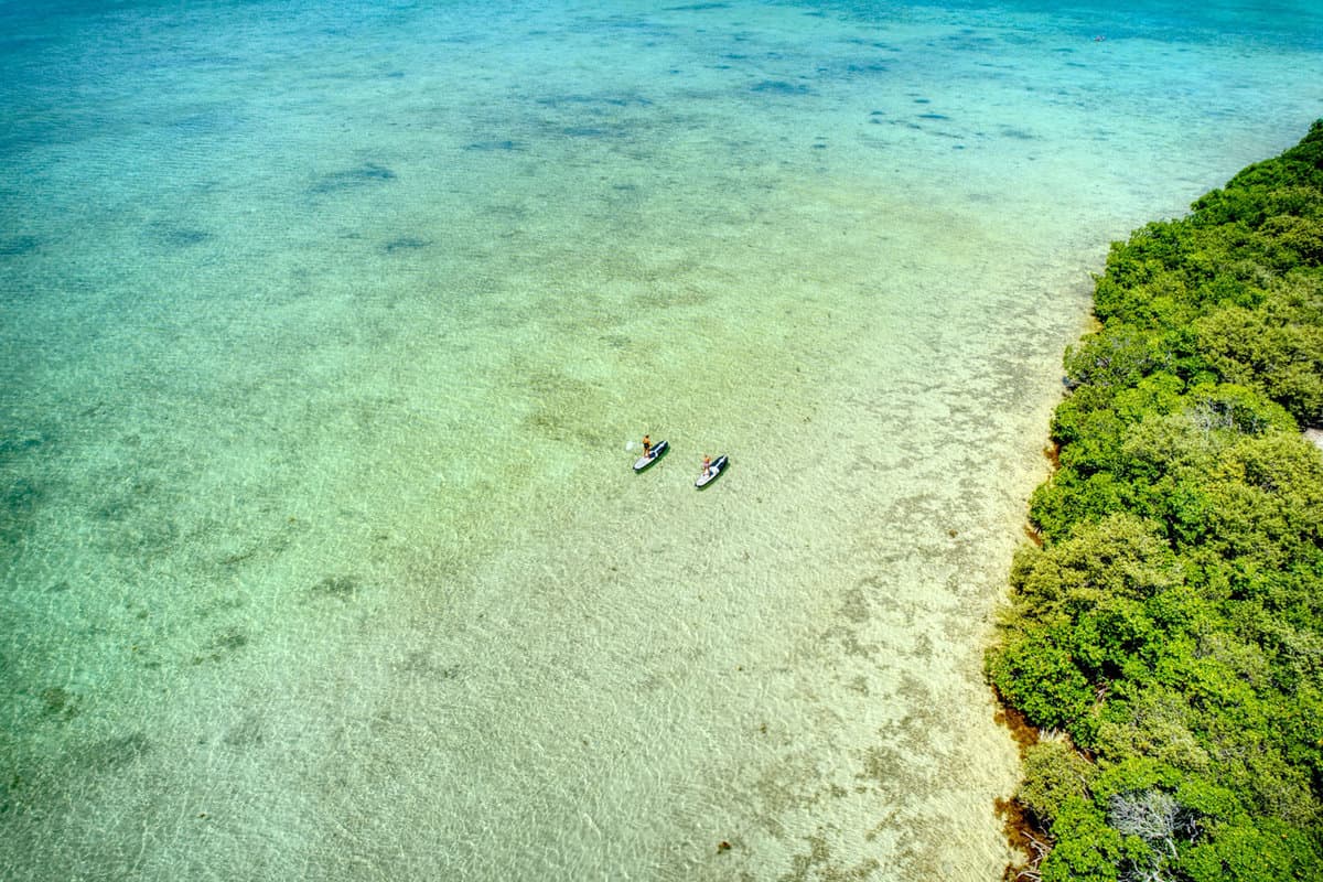 A couple paddleboarding the in the beautiful beaches of the florida keys