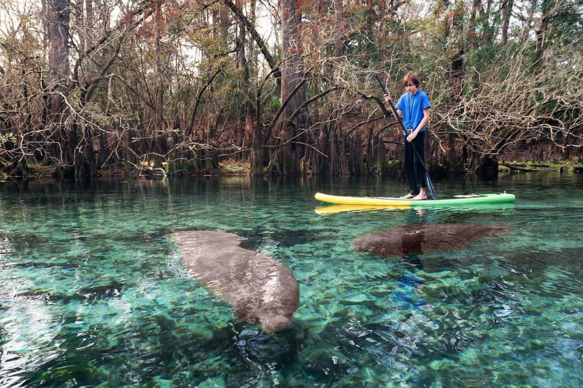 for article how to pack for a week in the florida keys - A kid paddleboarding in the gorgeous clear waters of a Florida River