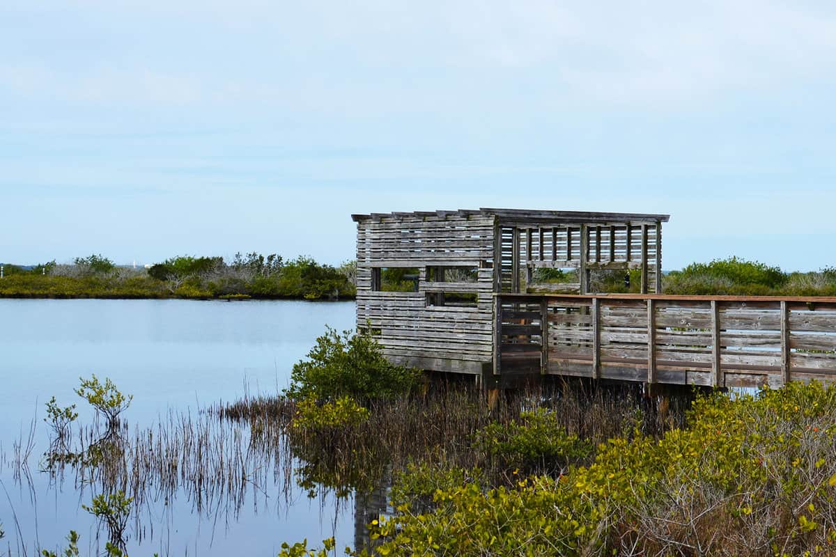 Birdwatching camouflaged observatory at the wildlife refuge near cape canaveral national seashore in Florida, USA