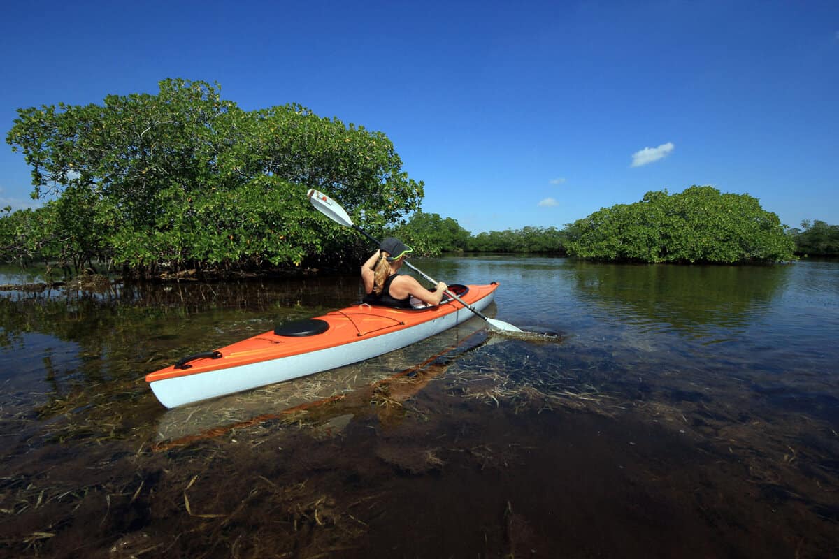 Woman on kayak near mangroves