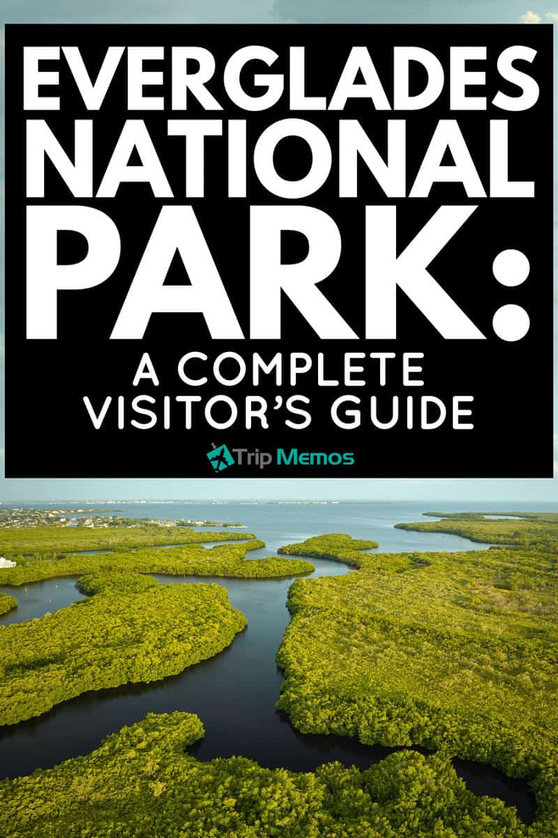 Everglades National Park: A Complete Visitor’s Guide
