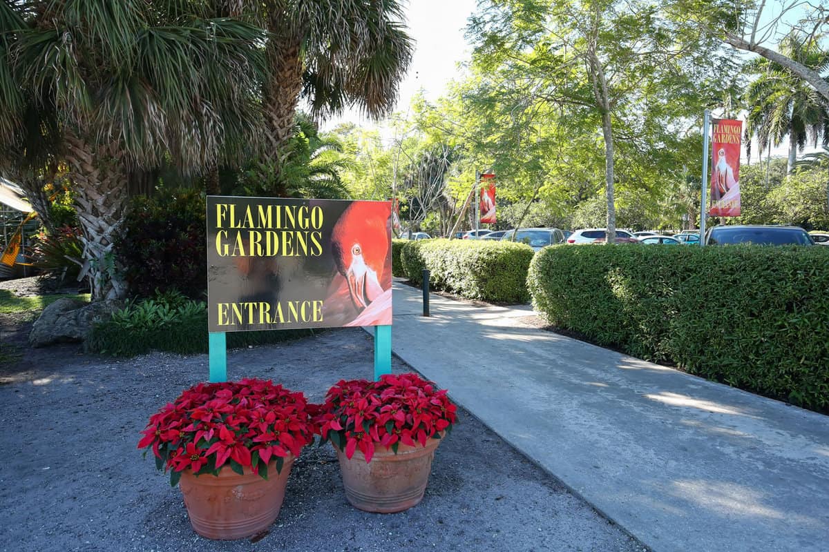 Flamingo garden zoo in Florida