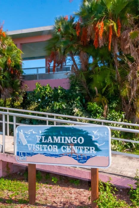 Flamingo visitor center sign