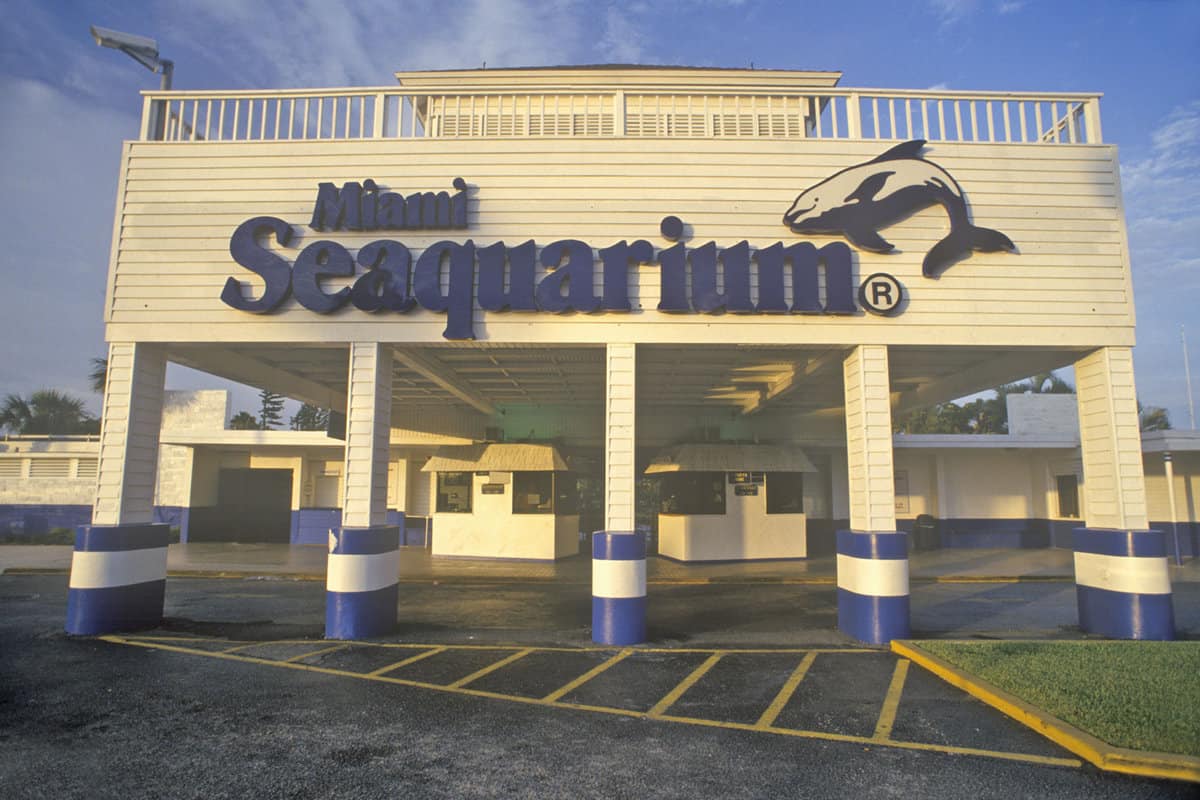 The Miami Seaquarium 