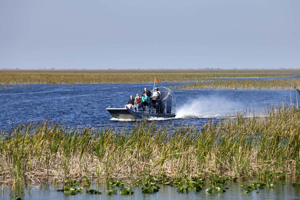 Tourist getting a ride in an airboat while watching the majestic Everglades National Park