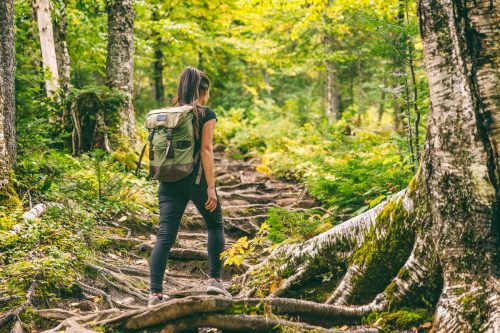 Woman hiking on a steep mountain, 8 Scenic Hiking Trails in Florida for Nature Lovers