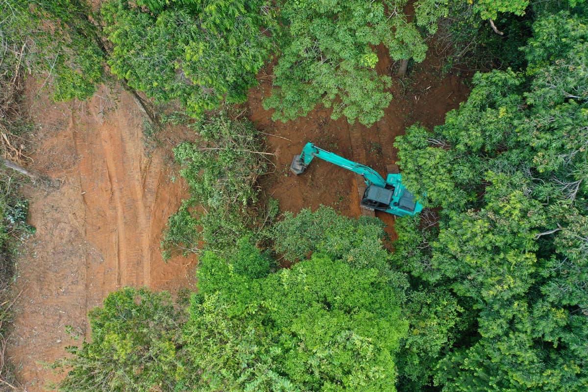 Excavator destroying natural wildlife for housing project