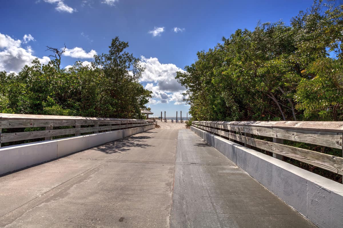 A boardwalk with mangroves with dense vegetation on the side in Lovers Key, Florida