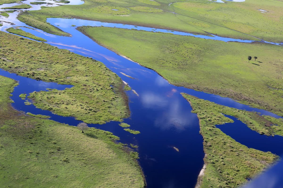 Aerial photograph of the Florida Everglades National Park, Florida National Parks: The Ultimate Guide
