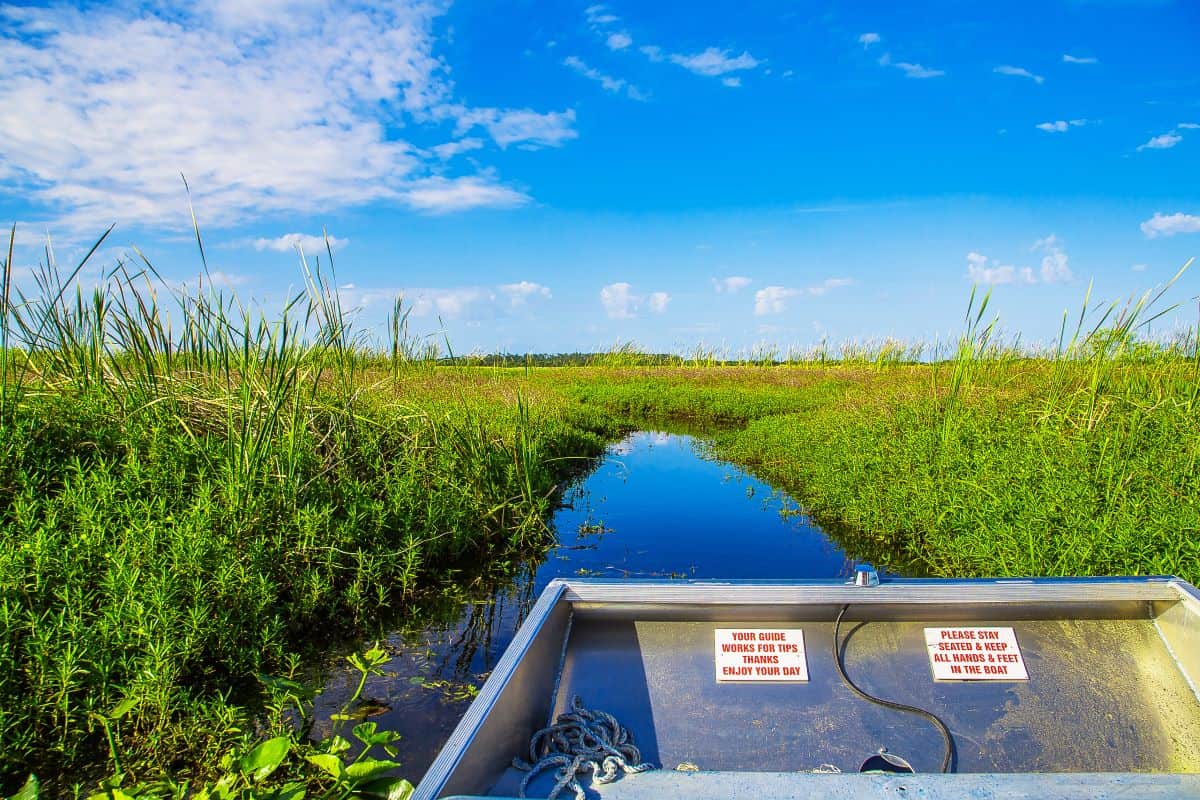 airboat in the everglades