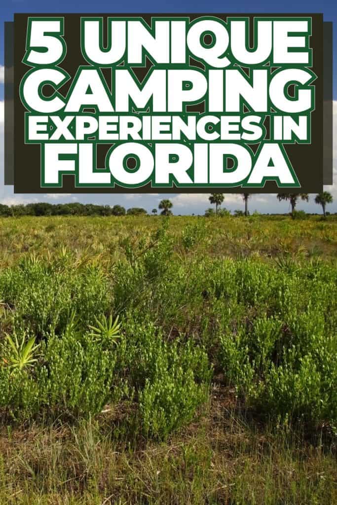 5 Unique Camping Experiences in Florida