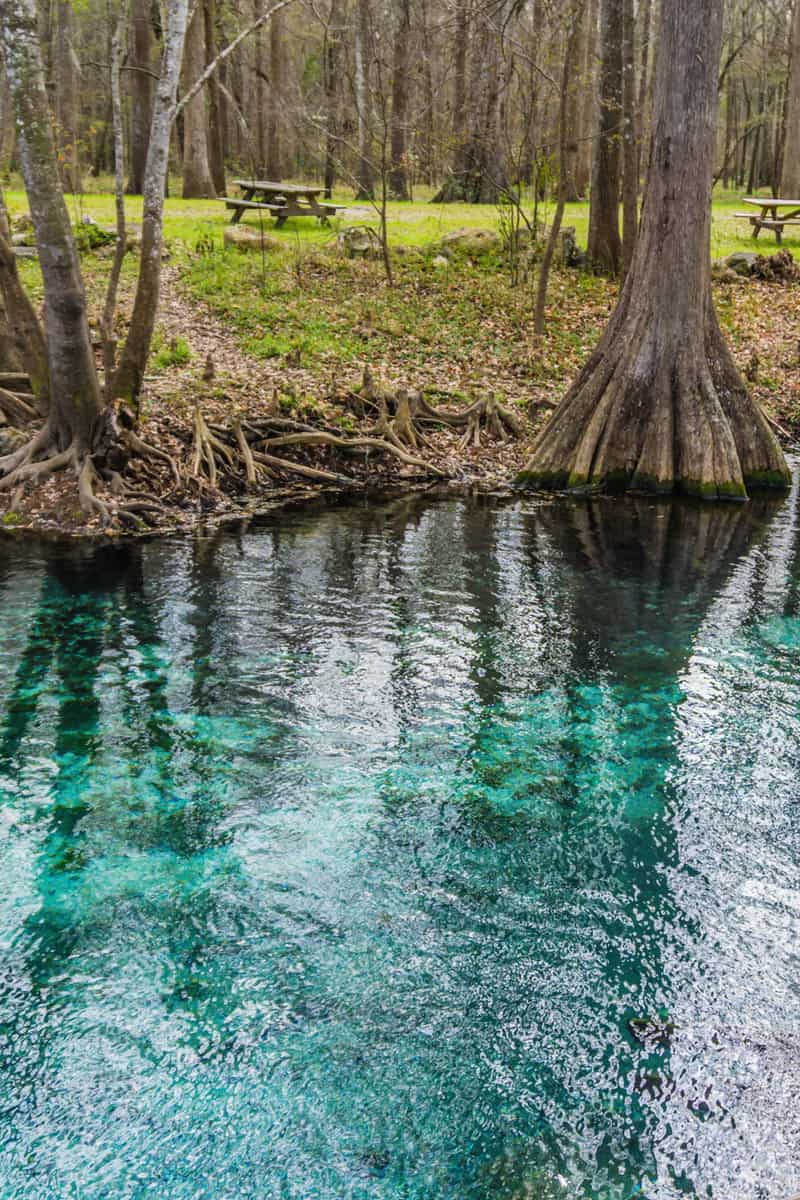 Blue water in Florida Springs.