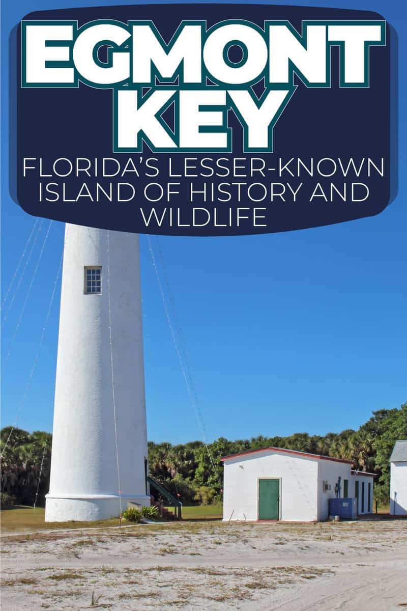 Egmont Key: Florida's Lesser-Known Island of History and Wildlife
