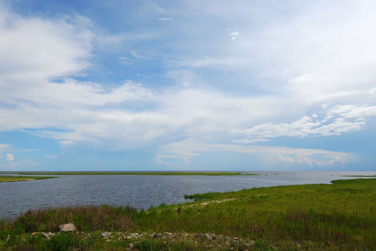 Lake Okeechobee, A Deep Dive into Florida's Lakes