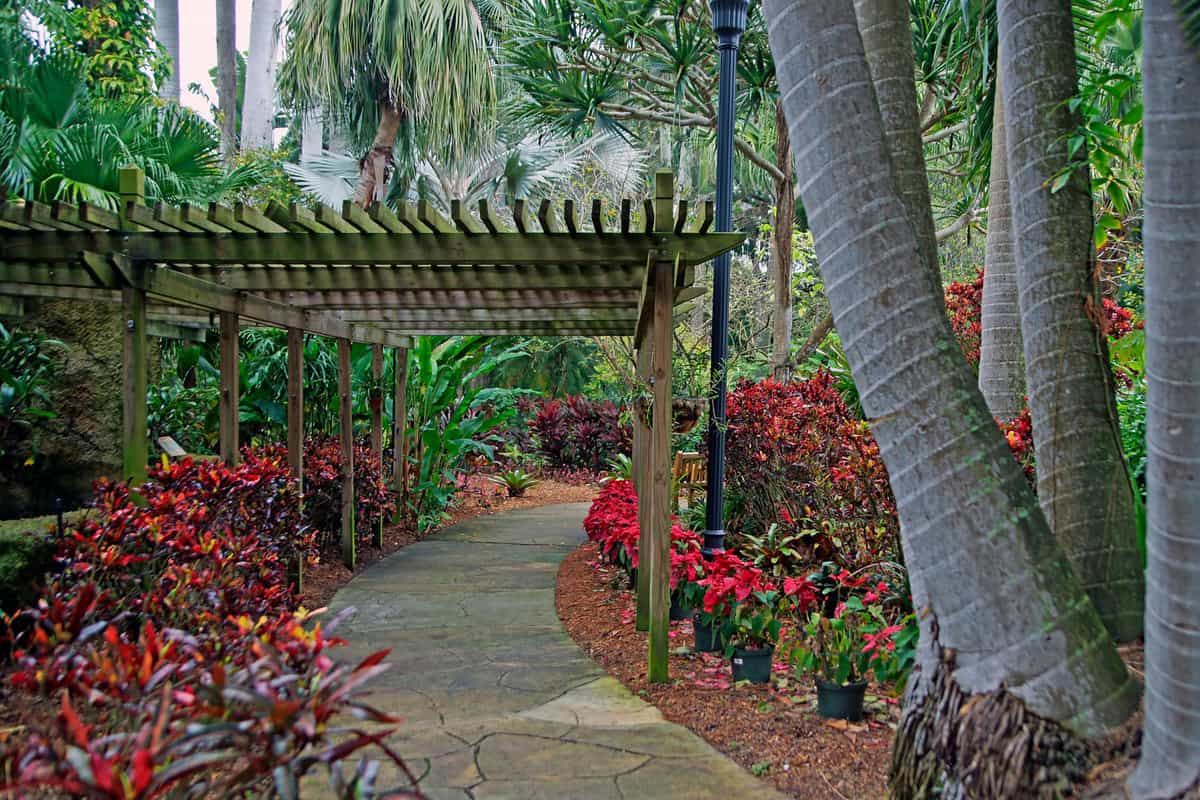 Lush vibrant gardens and trellis structure at the Sunken Gardens, Florida
